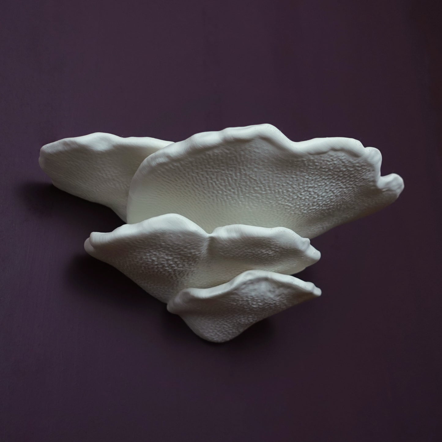 Wand Dekoregal "Gibbosa Pilz" | Made in Switzerland | Bio-Plastik | Stilvolles Design | Einfache Installation